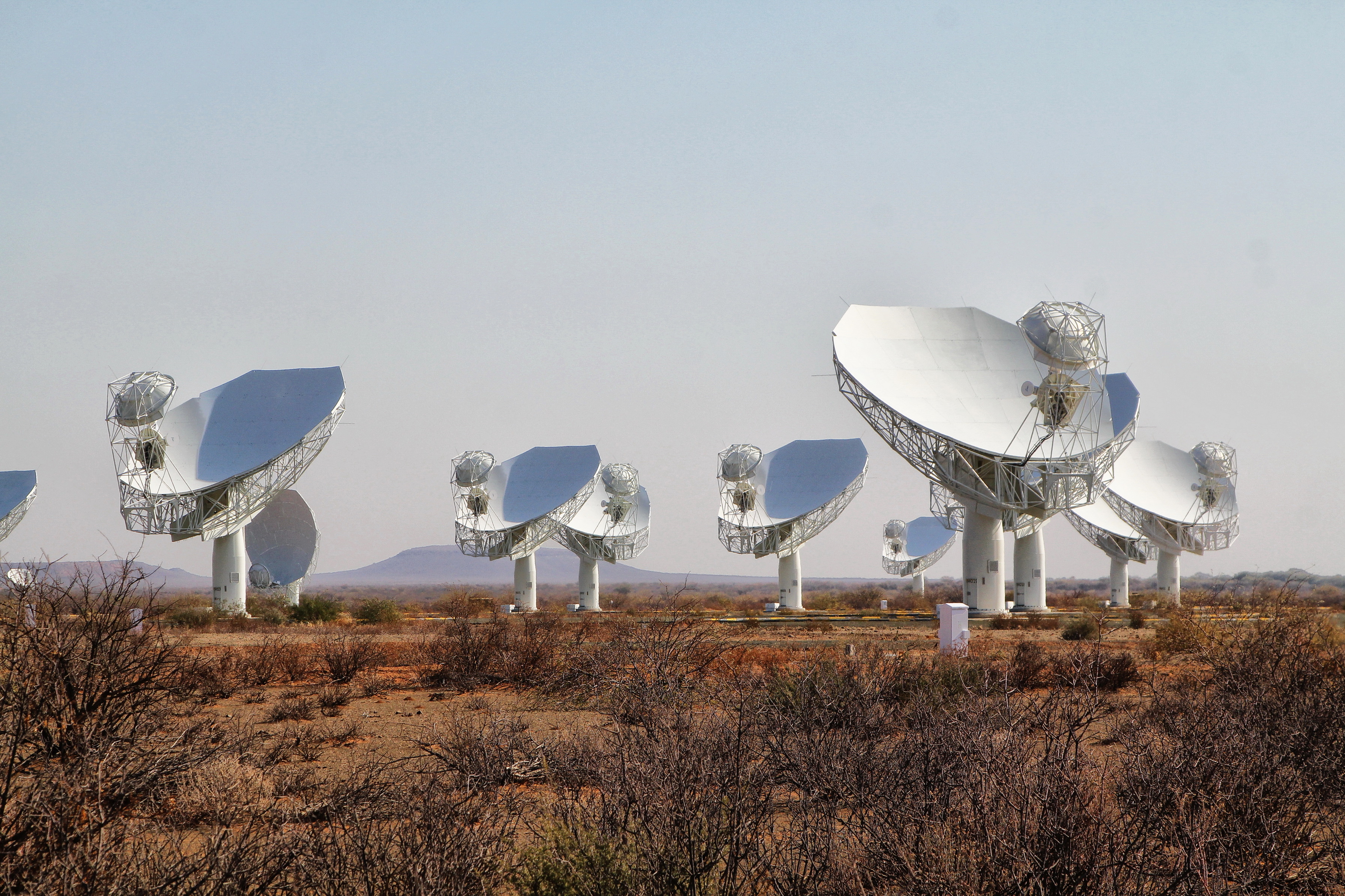 Part of the enormous SKA radio astronomy complex outside Carnarvon.