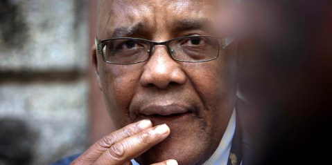 Home Affairs Minister Motsoaledi says visa renewal reports are ‘overblown’
