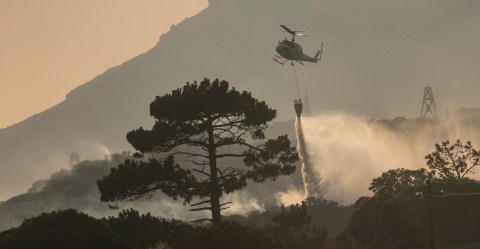 Navy’s land management neglect in the Cape poses risk of disastrous wildfires, say experts