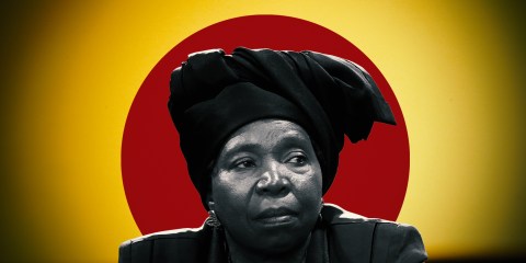 Thirty years later, the critical question remains — what was Nkosazana Dlamini Zuma really all about? 