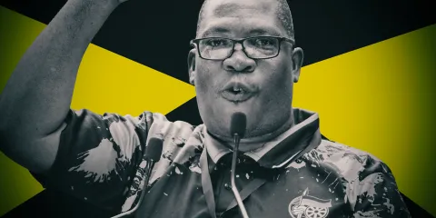 Populist Vibes – ANC’s Panyaza Lesufi makes bold promises to woo Joburg crowds